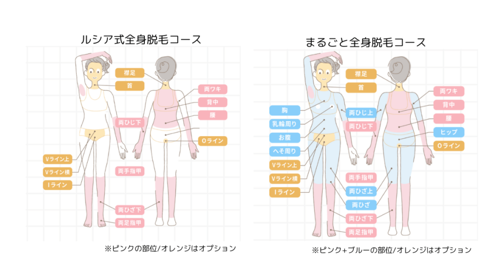ルシアクリニック全身脱毛コースの範囲/ルシア式全身脱毛コース(ルシアプチ全身脱毛)＆まるごと全身脱毛コース